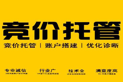 百度竞价赚钱技巧：案例分析